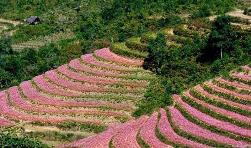 Готель Nha Nghi T&T Донґван Екстер'єр фото