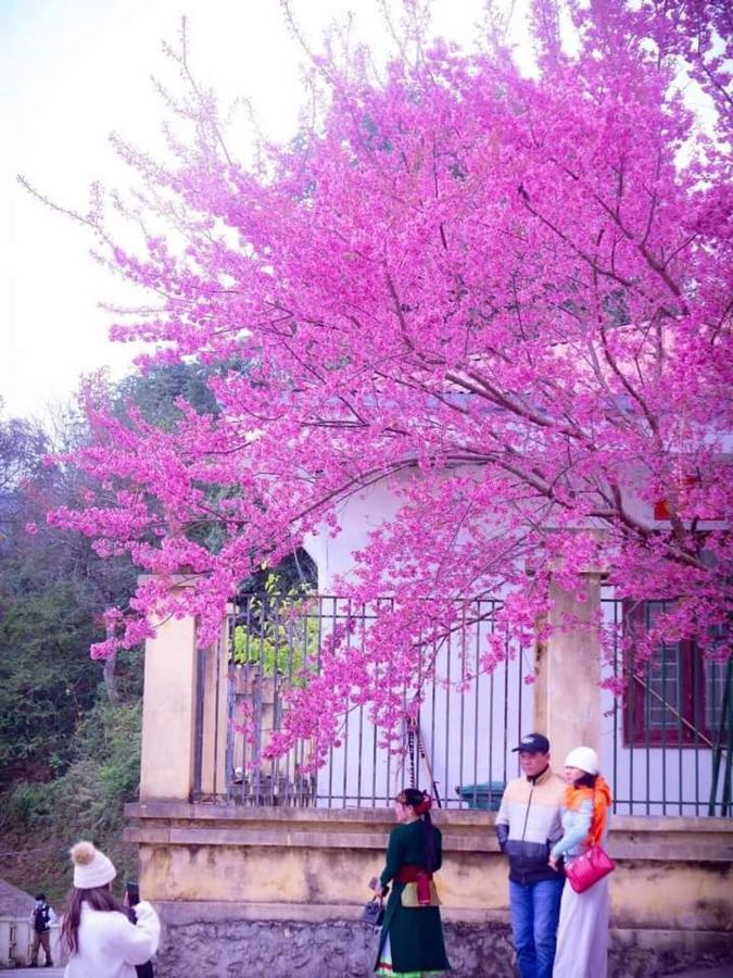 Готель Nha Nghi T&T Донґван Екстер'єр фото
