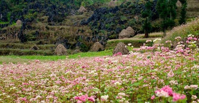 Готель Nha Nghi T&T Донґван Екстер'єр фото